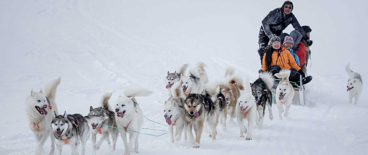 Voyage en chien de traineau au Groenland, côte Est