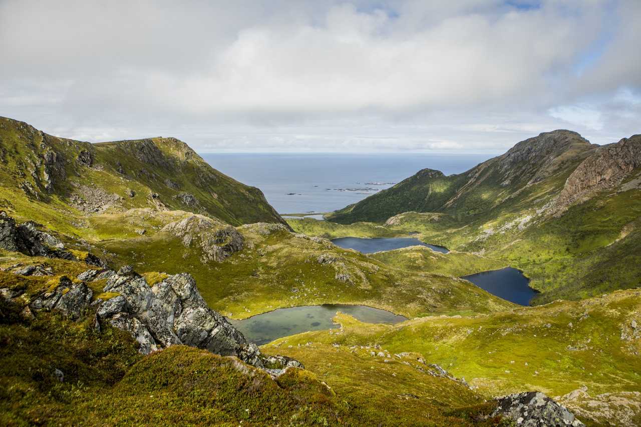 Voyage nature en Norvège l'été