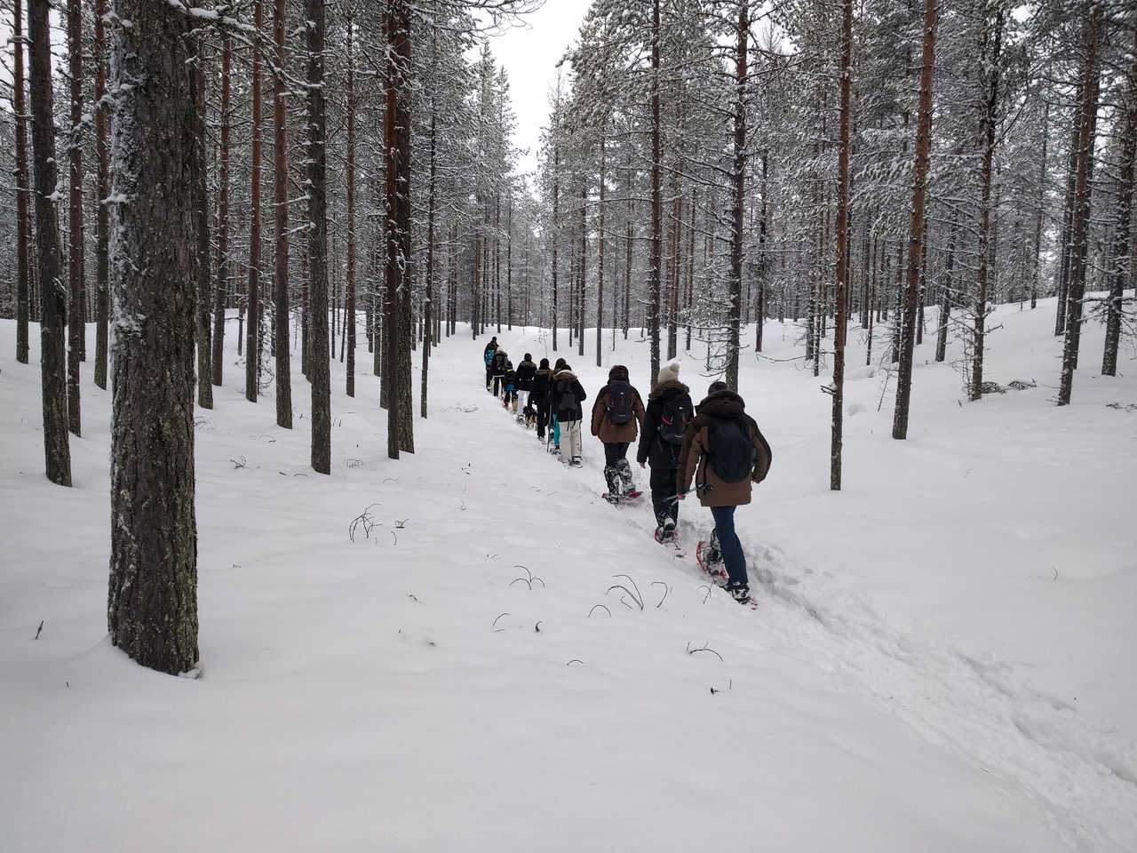Voyage randonnée raquettes en Laponie finlandaise