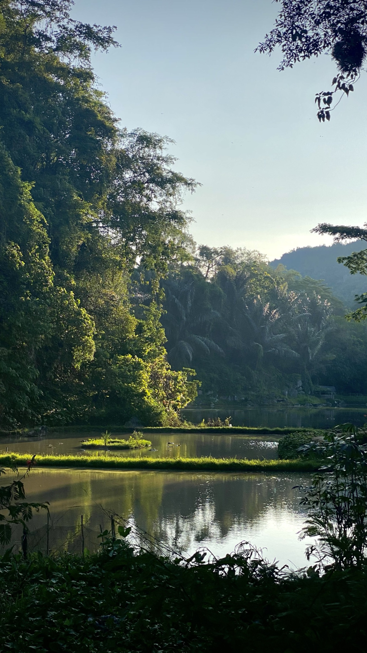 Voyage sulawesi jungle du pays Toraja