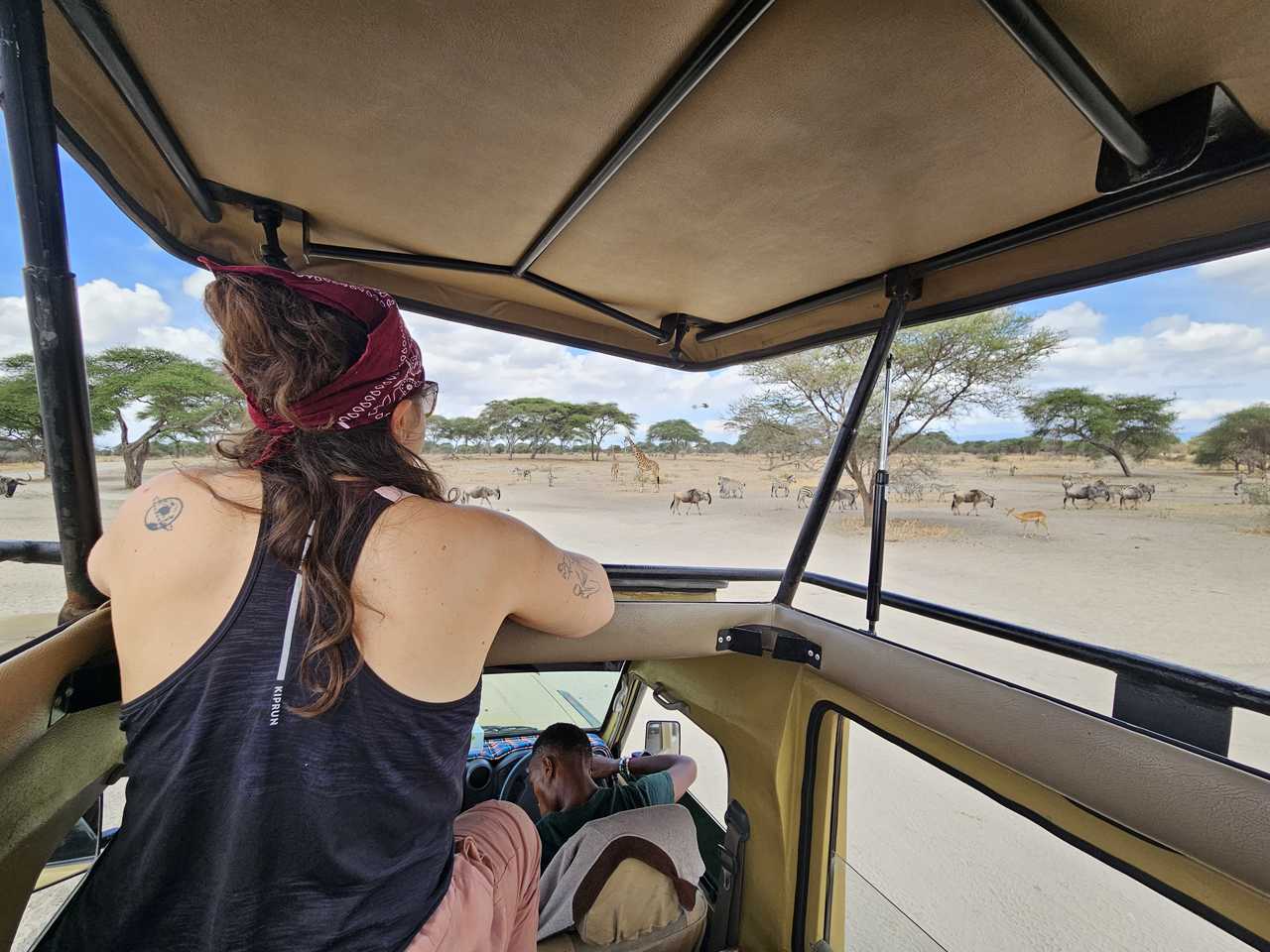 Voyageuse  admirant la faune sauvage  emblématique dans le parc de Tarangire