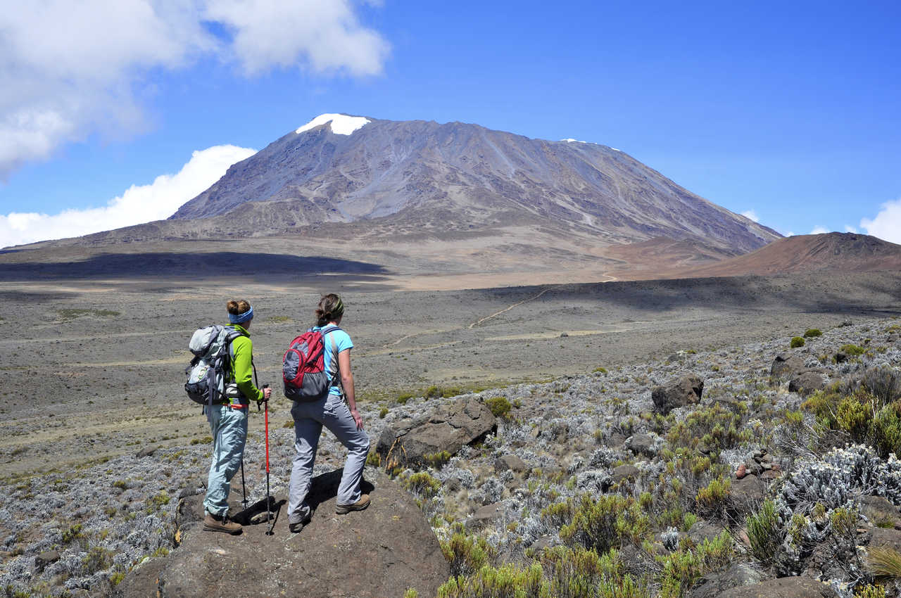 Vue du Circuit Nord sur le Kilimandjaro, massif du Kibo Tanzanie