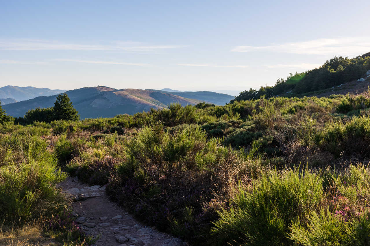 Vue matinale sur les paysages des Monts de l'Espinouse depuis le sommet du Caroux, Haut Languedoc
