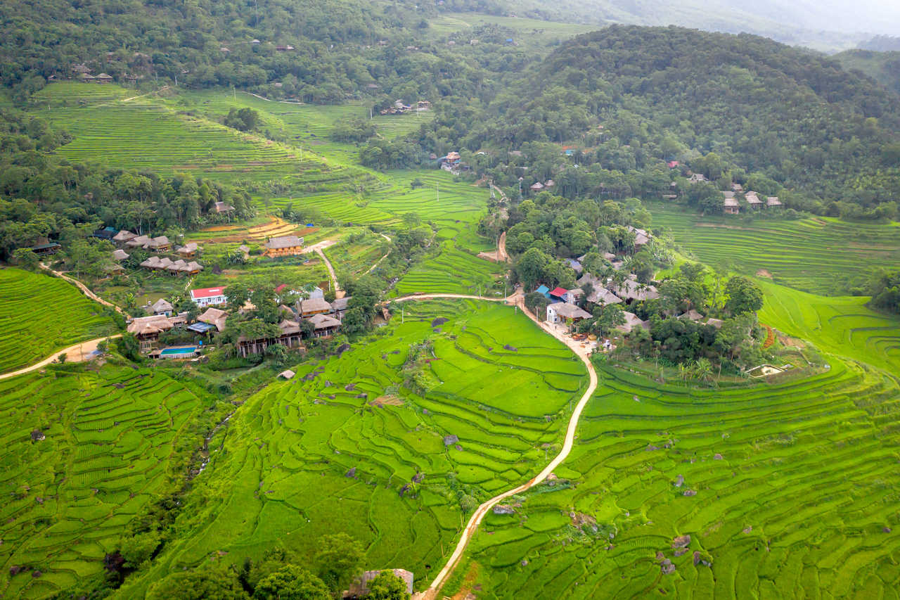 Vue panoramique des magnifiques terrasses verdoyantes de la commune de Pu Luong