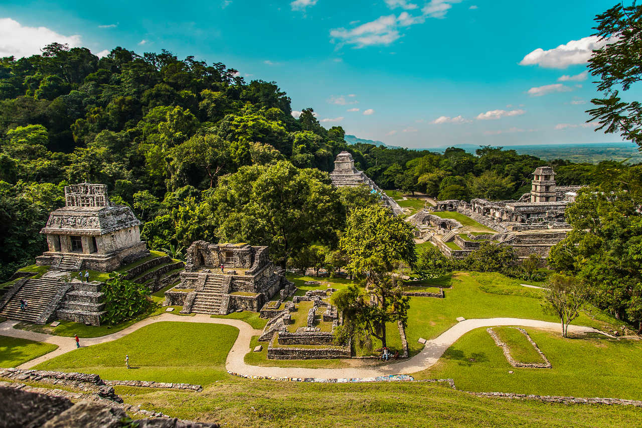 vue panoramique sur la cité de Palenque au Mexique