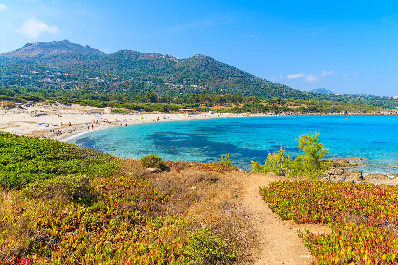Vue sur la magnifique plage de Saleccia avec ses eaux translucides, Saint Florent, Haute Corse