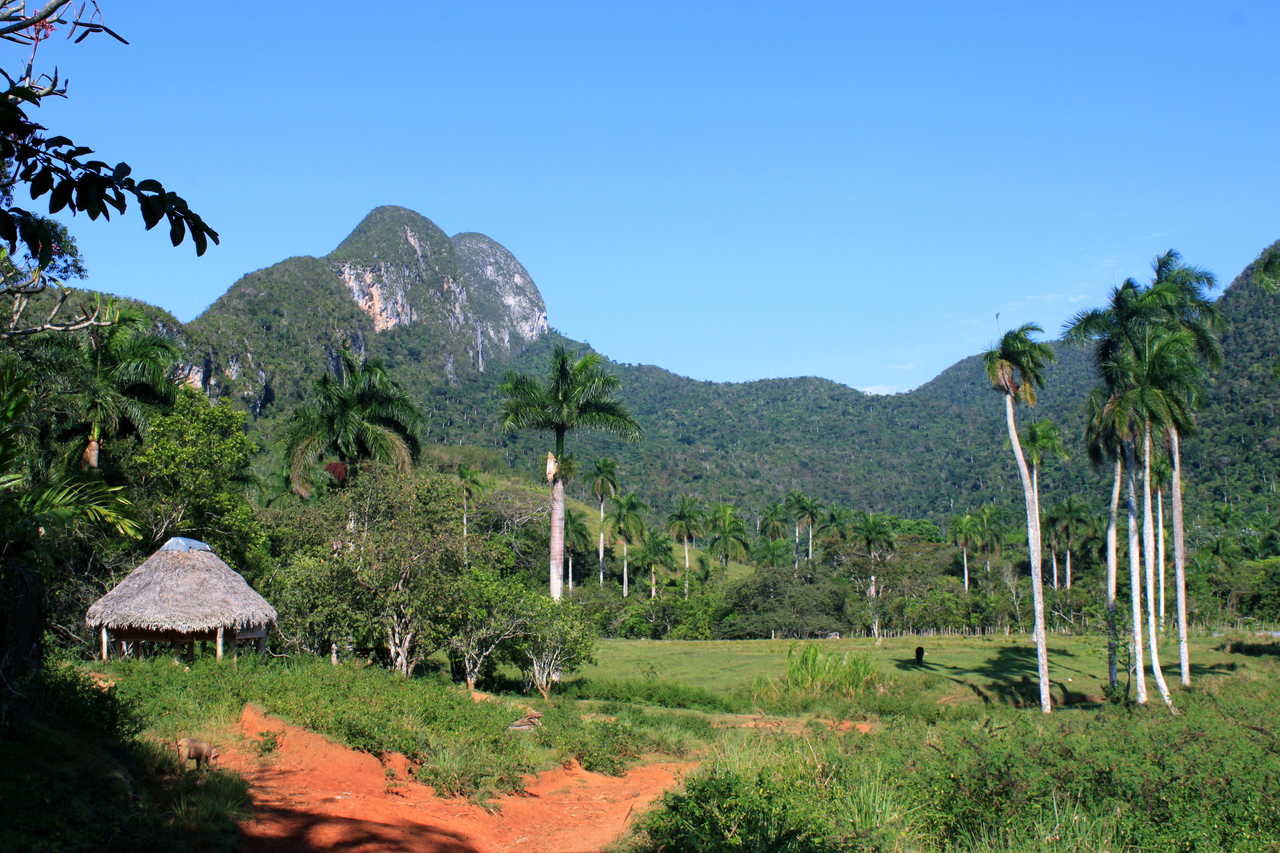 Vue sur la Sierra de mil Cumbre à Cuba