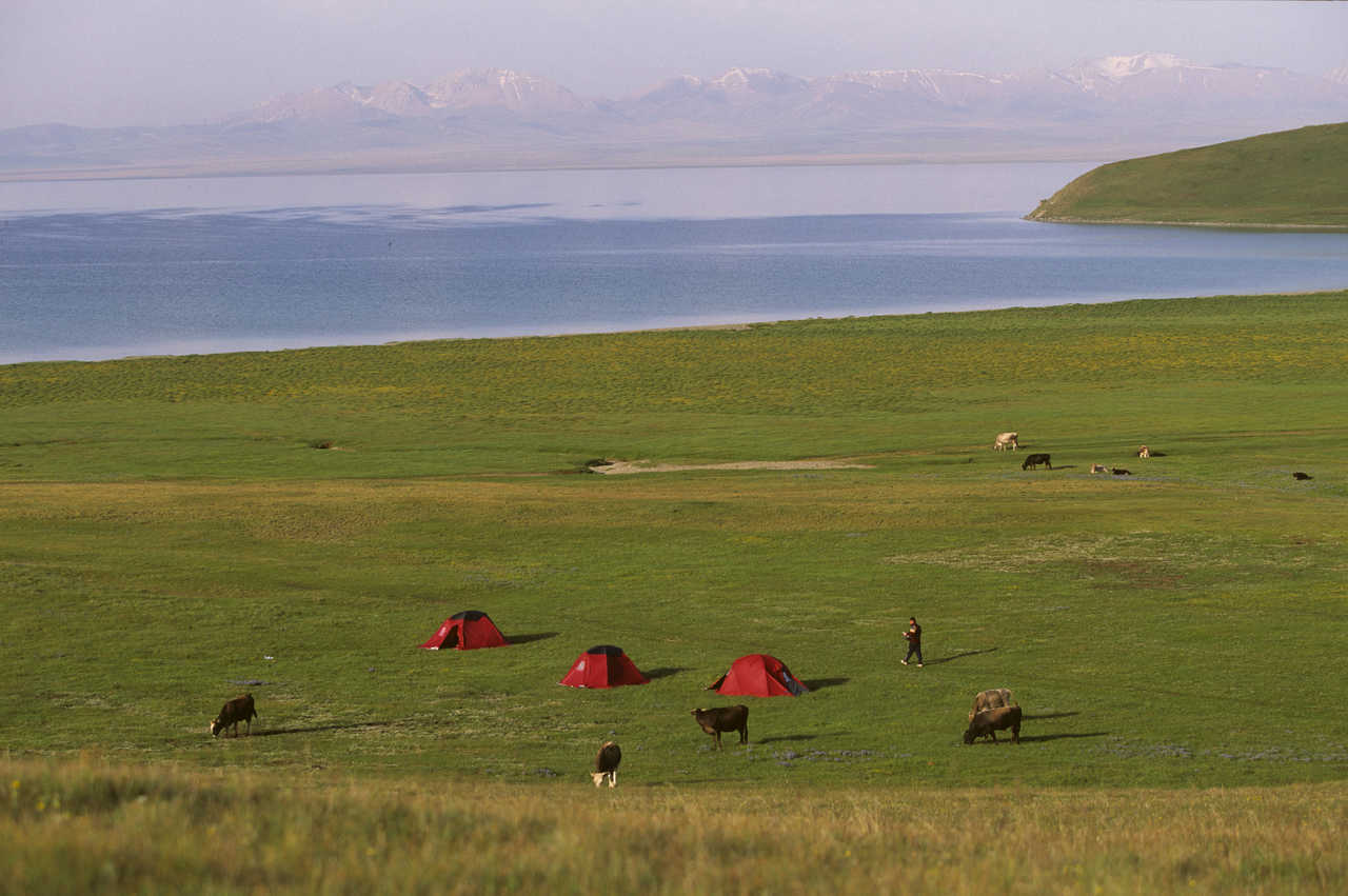 Vue sur le campement à Djely Sou en Kirghizie