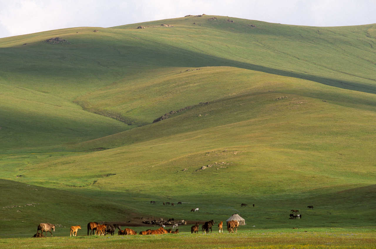 Vue sur les plaines en Kirghizie