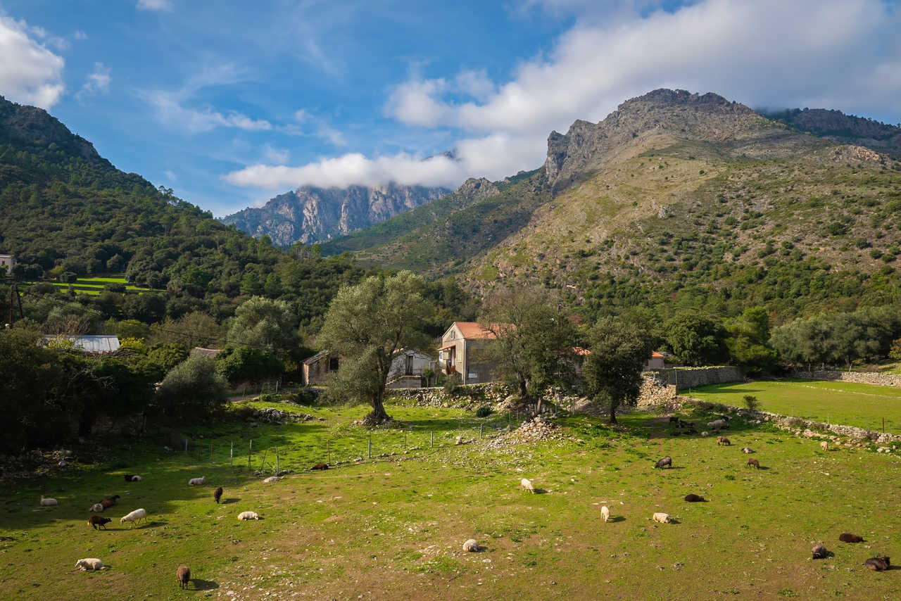 Vue sur une bergerie dans la vallée du Tavignano, Corte, Corse