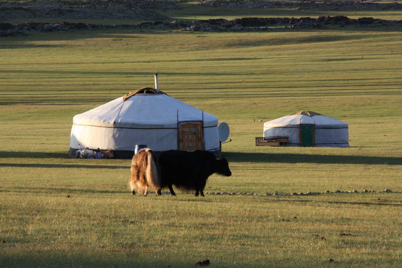 Mongolie yak yourte
