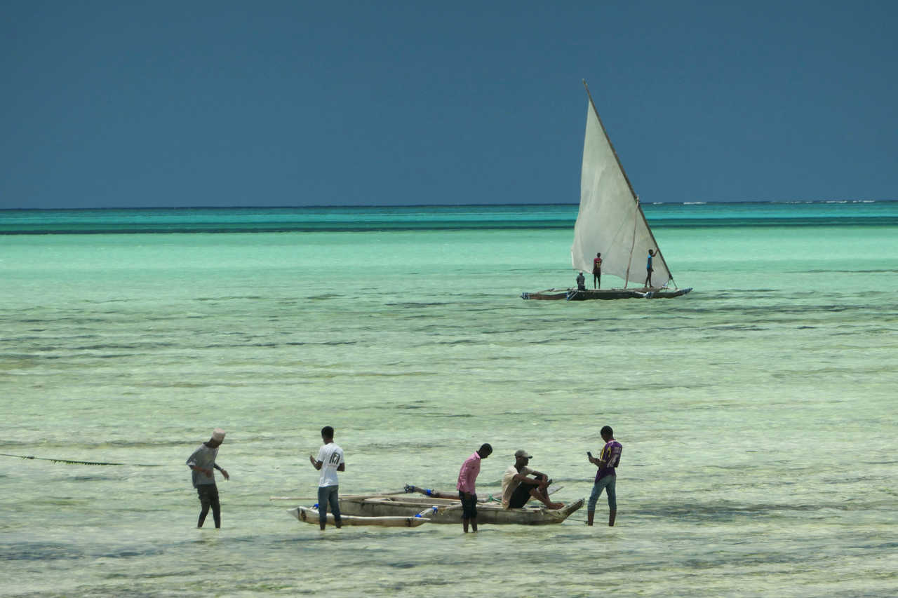 Zanzibarites avec leurs boutres pour la pêche dans le lagon
