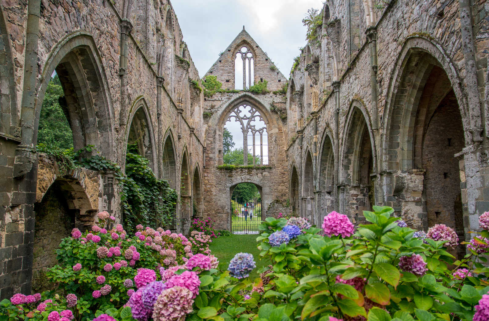 Abbaye de Beauport, Paimpol © Guillois Kevin