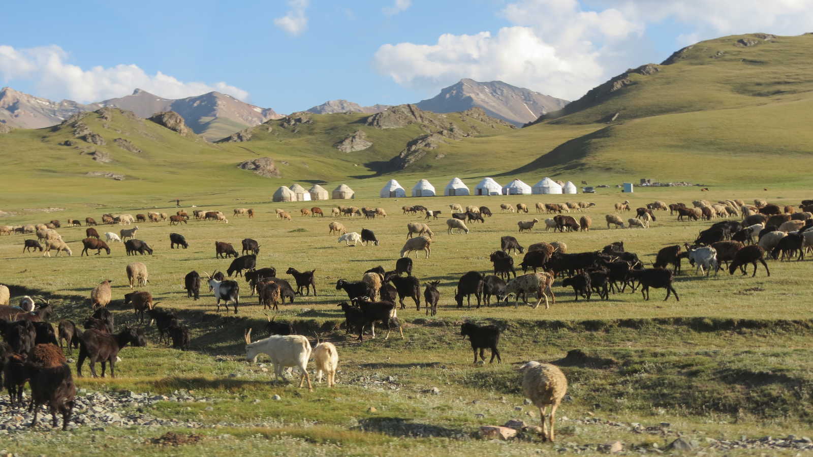 Image Route de la soie et randonnées nomades