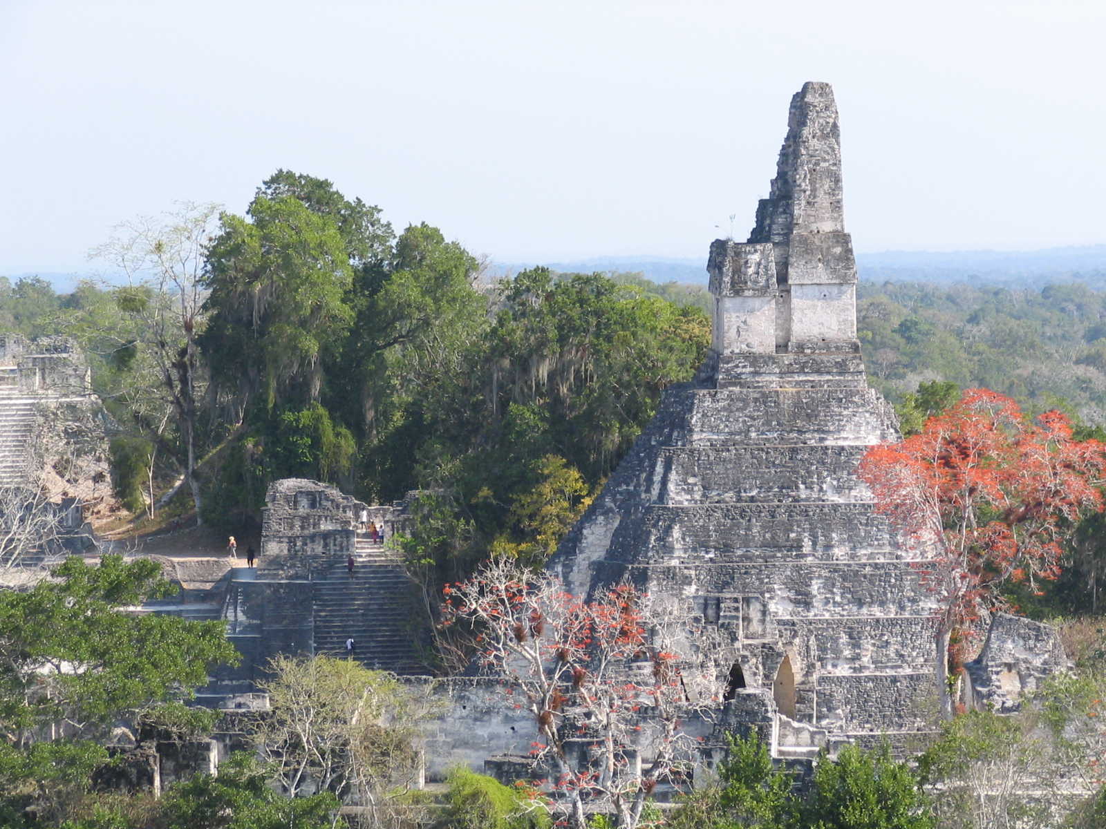 Ancienne citadelle maya Tikal au Guatemala © Petin Olivier