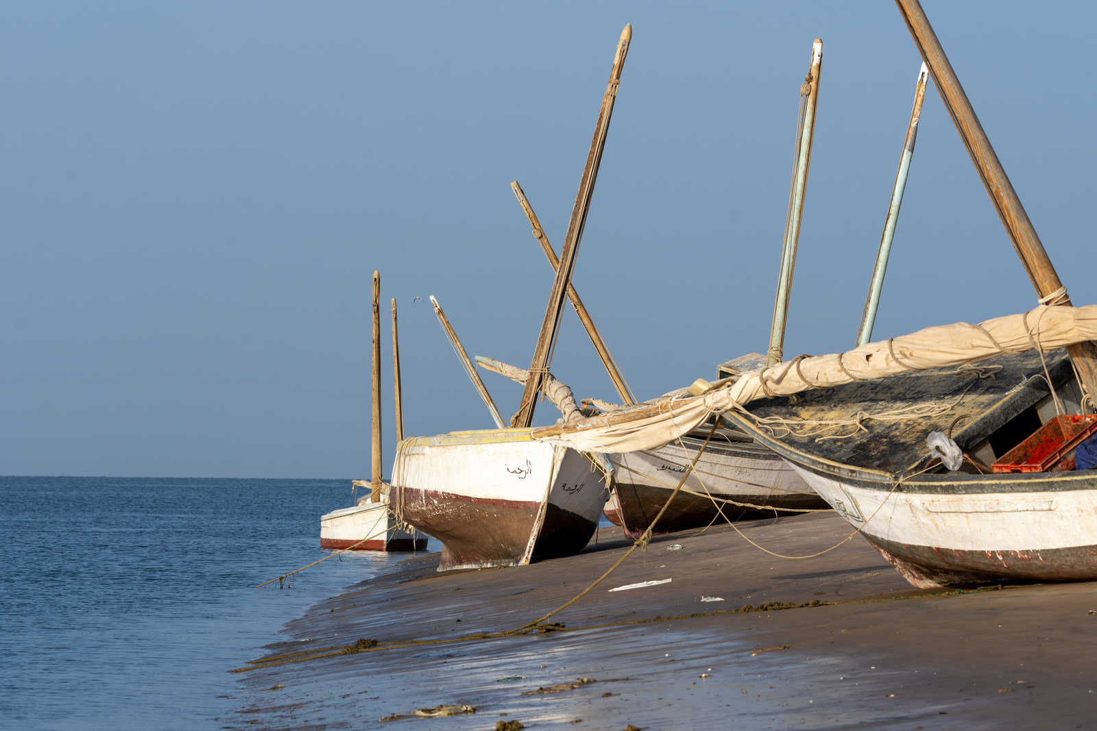 barques au bord du banc d'Arguin en Mauritanie © Rohart Grégory