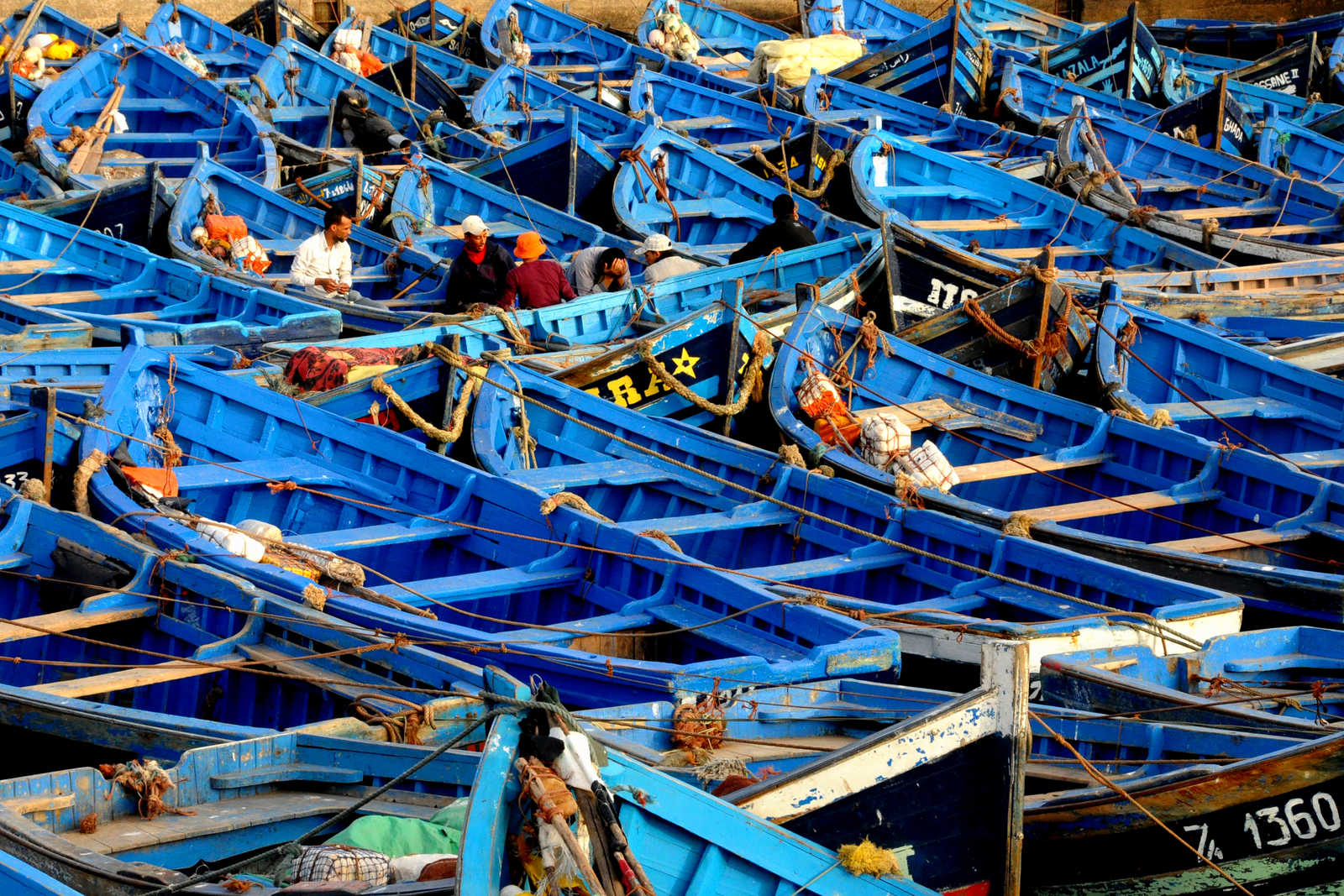 Barques bleues dans le port d'Essaouira, Maroc © Coston Jean-Pierre