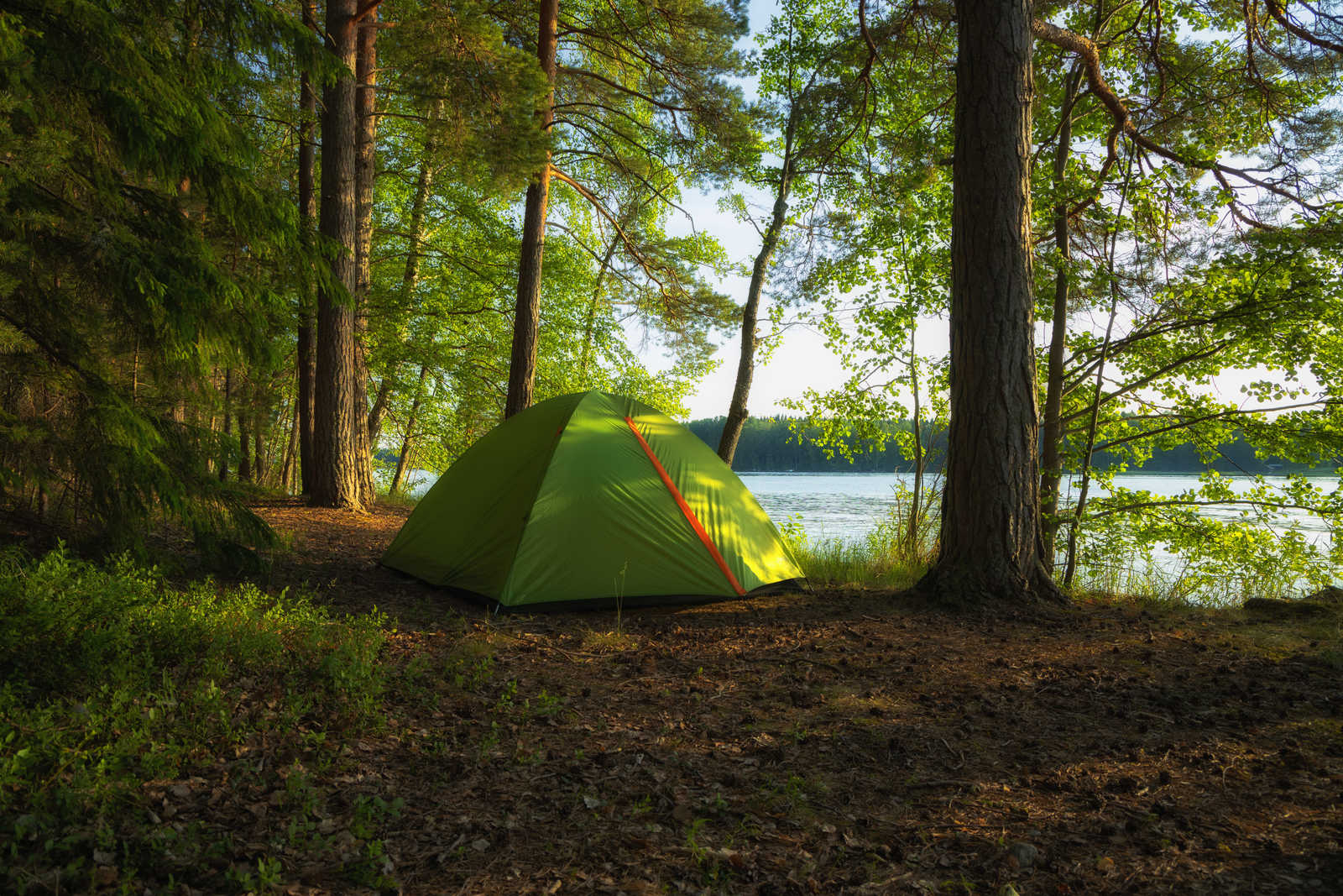 Bivouac dans la taïga finlandaise © Raland