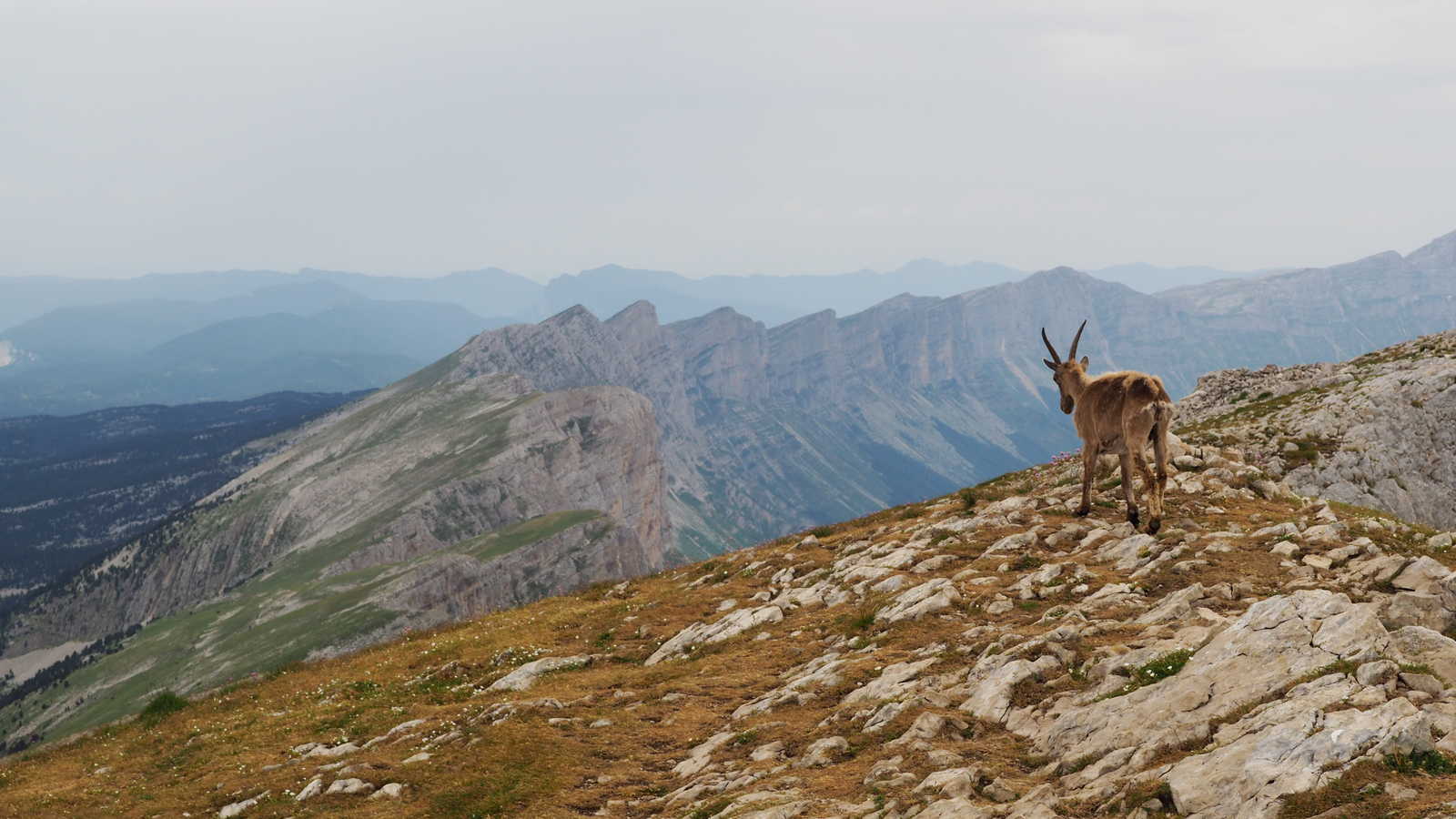 Image Trek itinérant dans le Vercors : Hauts Plateaux et Mont Aiguille - Voyage France