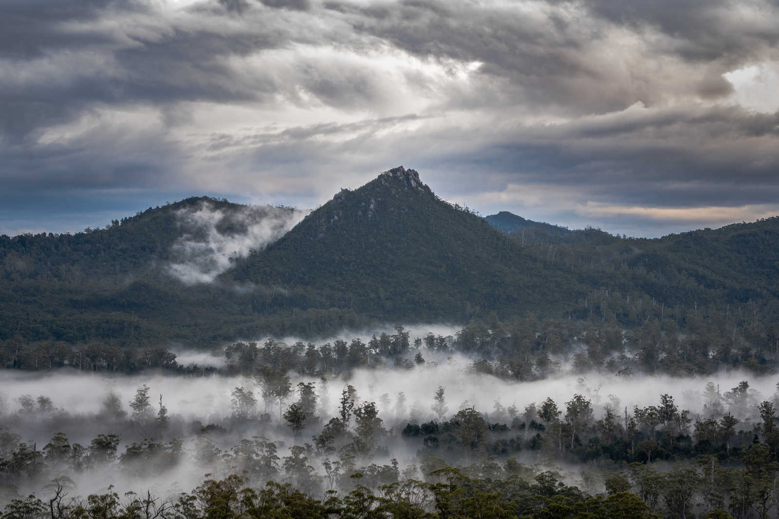 Brouillard matinal dans le parc national de Franklin-Gordon Wild Rivers, Tasmanie © Matt Palmer