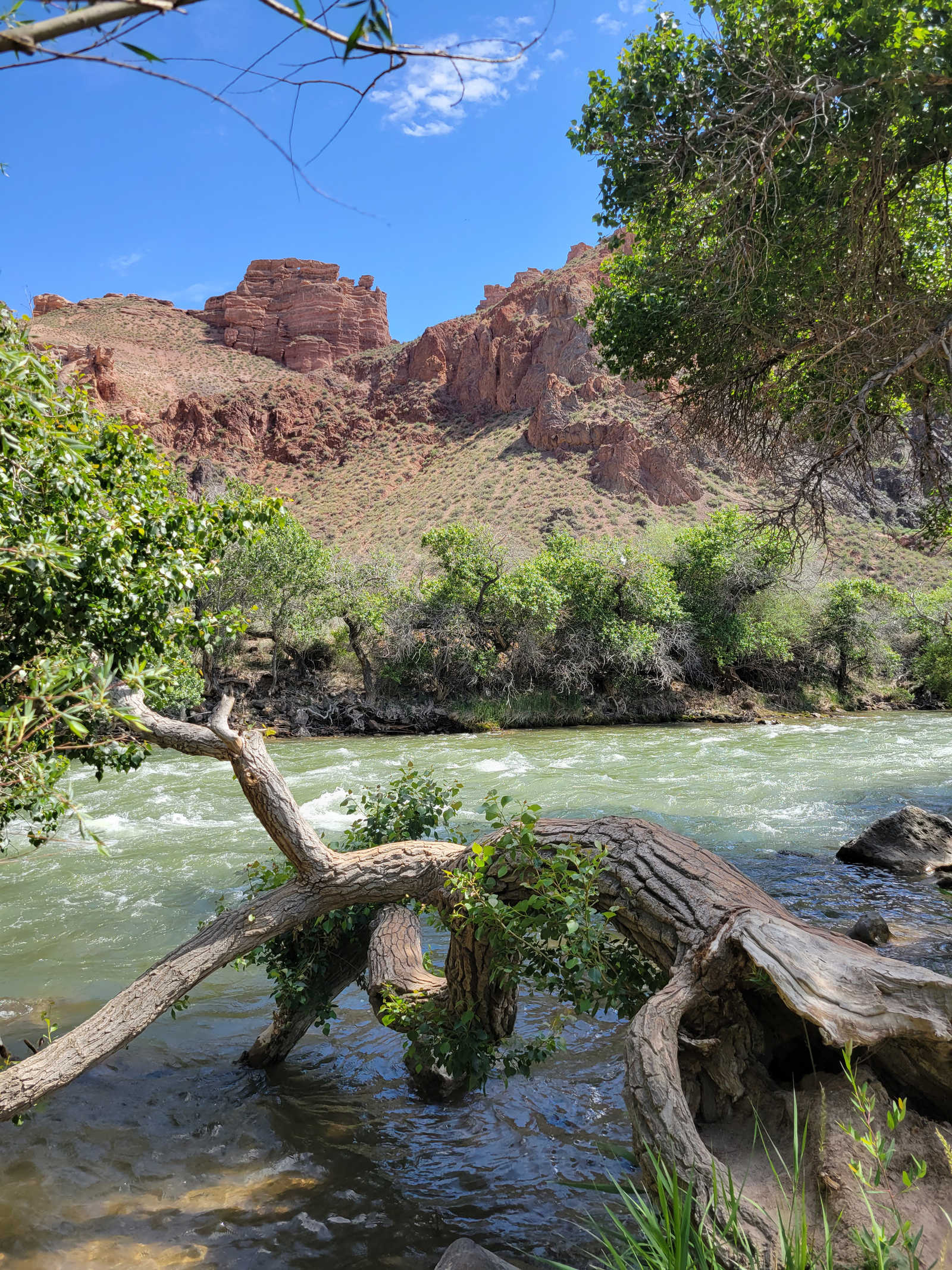 Canyon de Charyn au Kazakhstan © Cornilleau Emilie