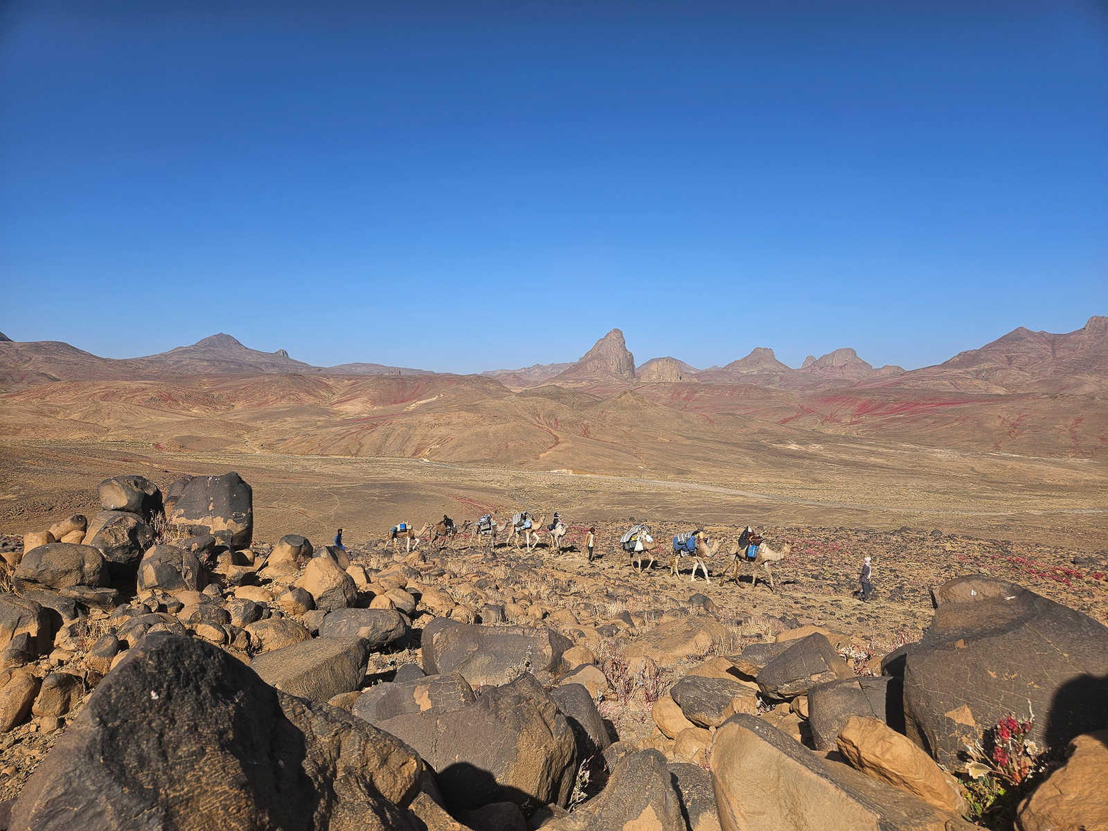 Caravane de chameliers lors d'un trek dans le massif du Hoggar, en Algérie © Andrevon Pénélope