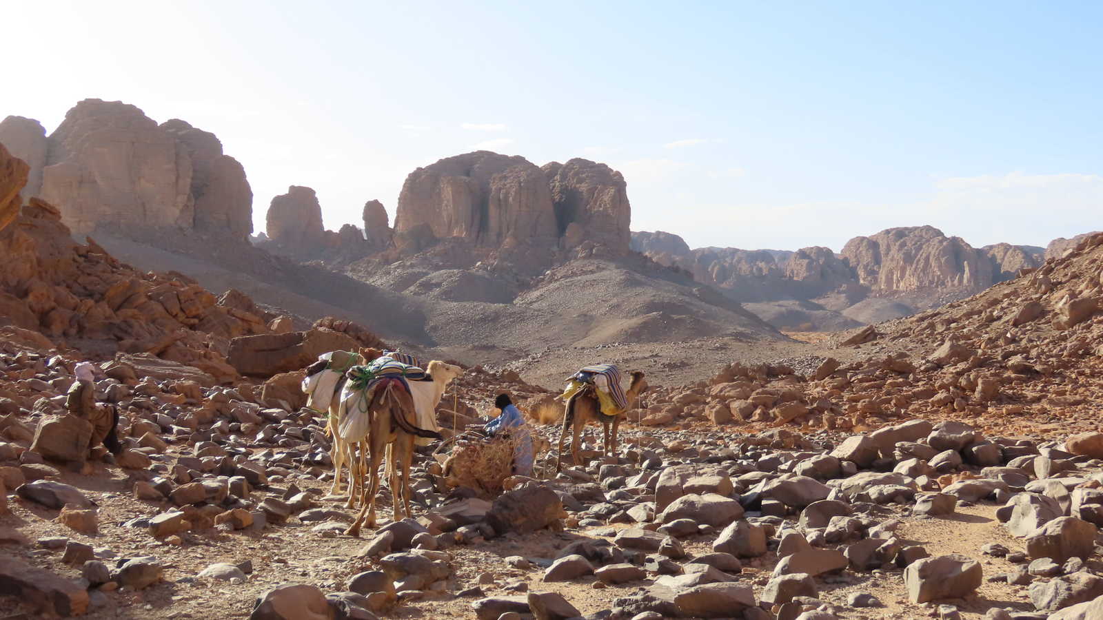Caravane de chameliers qui arrive dans le canyon d'Essendilène, en Algérie © Grally Florian