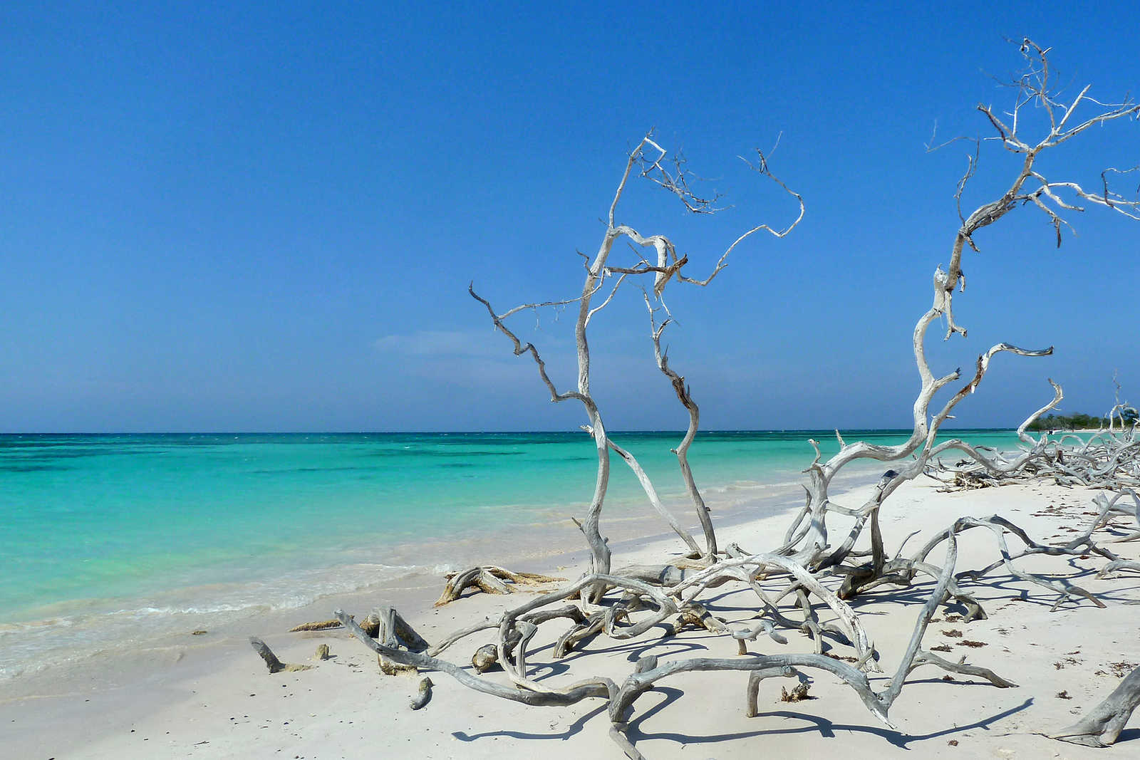 Cayo Jutias, une des plus belle plages du monde © Coston Jean-Pierre
