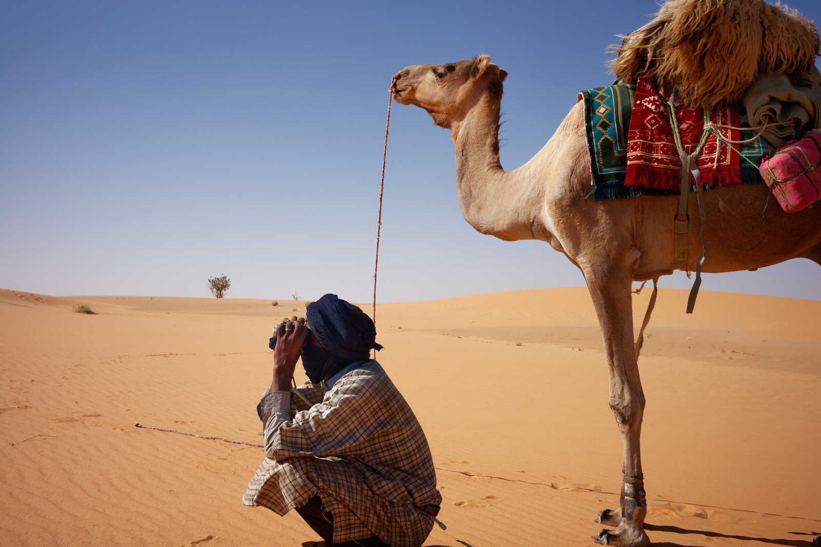 Chamelier et chameau en Mauritanie © Christophe
