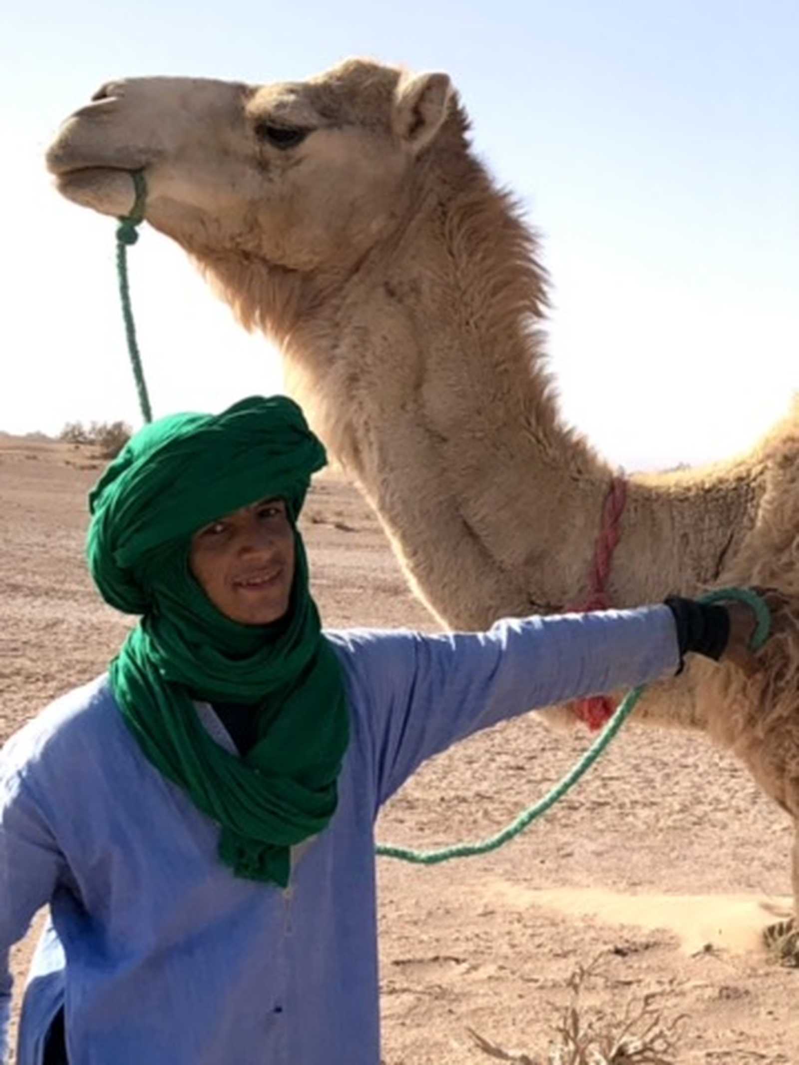 Chamelier, Maroc © Martin Laprade Nicolas