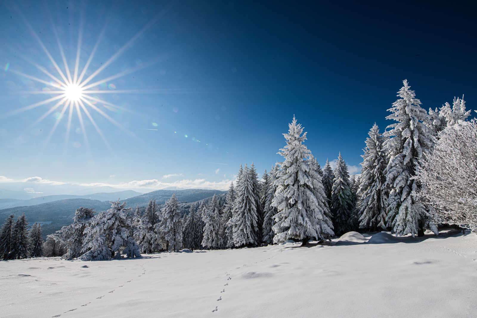 Chemin enneigé dans les Vosges entre le lac du Forlet (lac des Truites) et Gazon du Faing © Lagocki Christophe