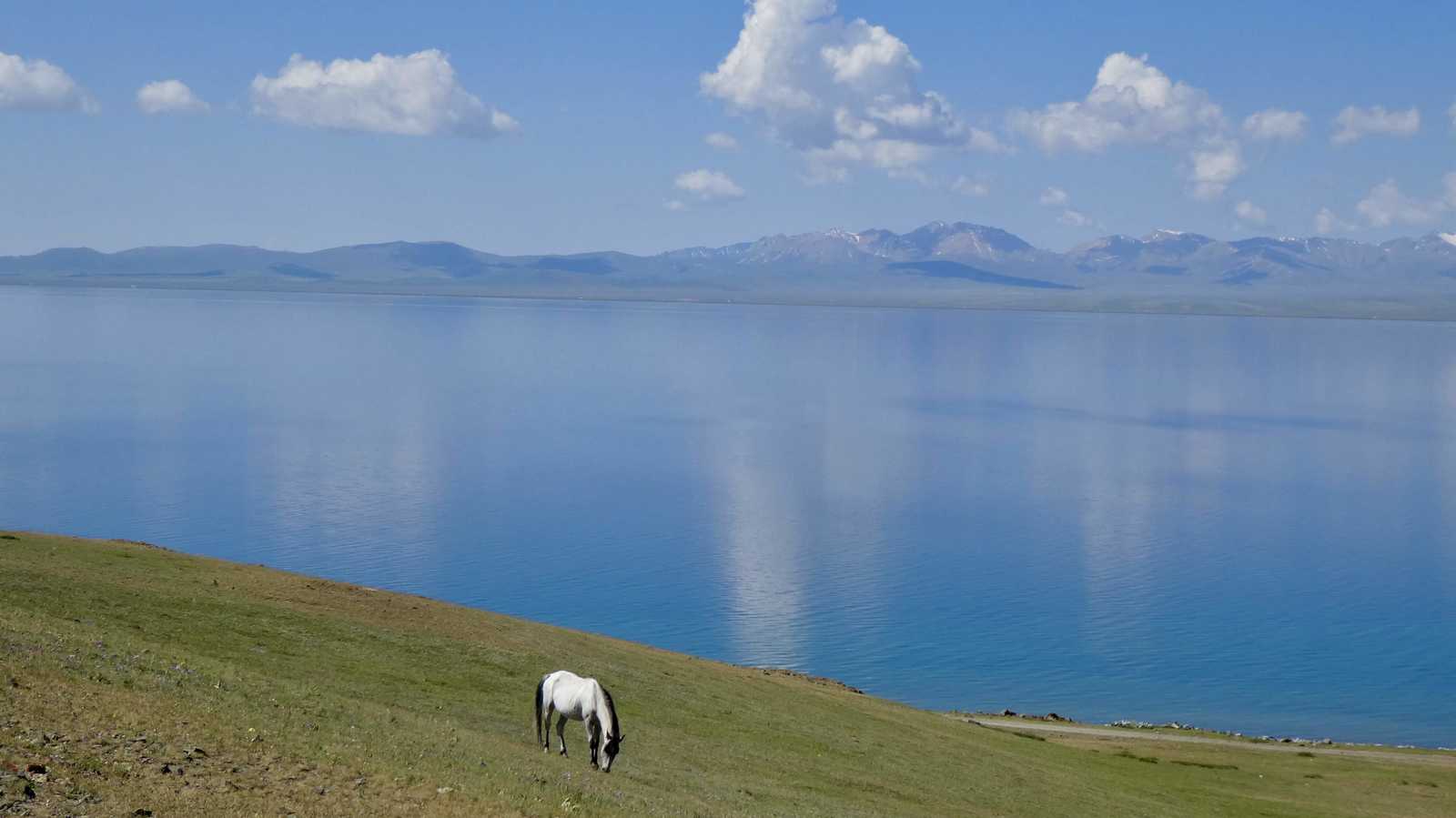 Cheval près du lac Song Kul © Aziz