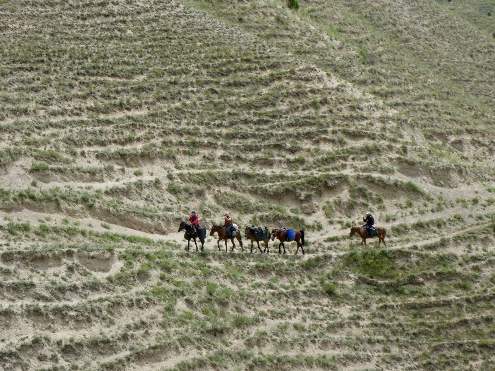 Chevaux lors du trek Kyzyk Oil - Song Koul © Aziz