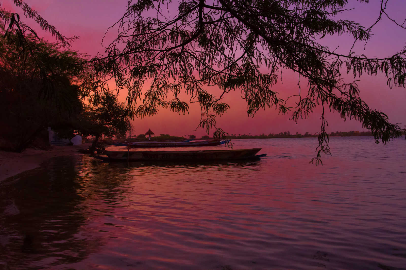 couchée de soleil sur Sine Saloum au Sénégal © Alf Photo