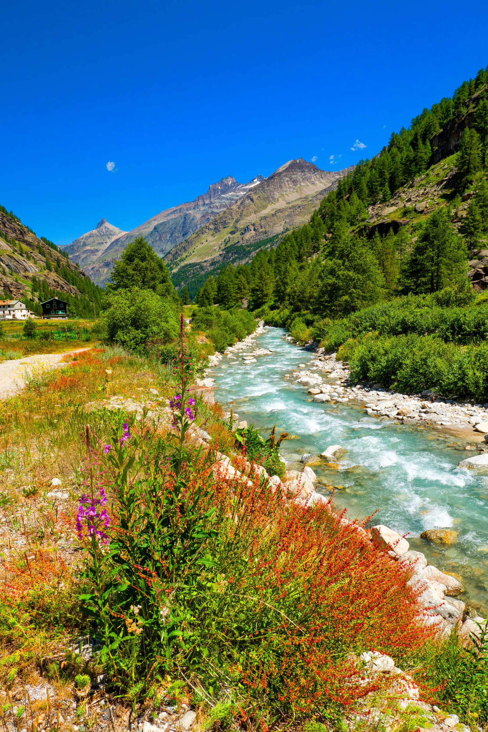 cours d'eau dans le parc national du Gran Paradiso © Ekh-Pictures