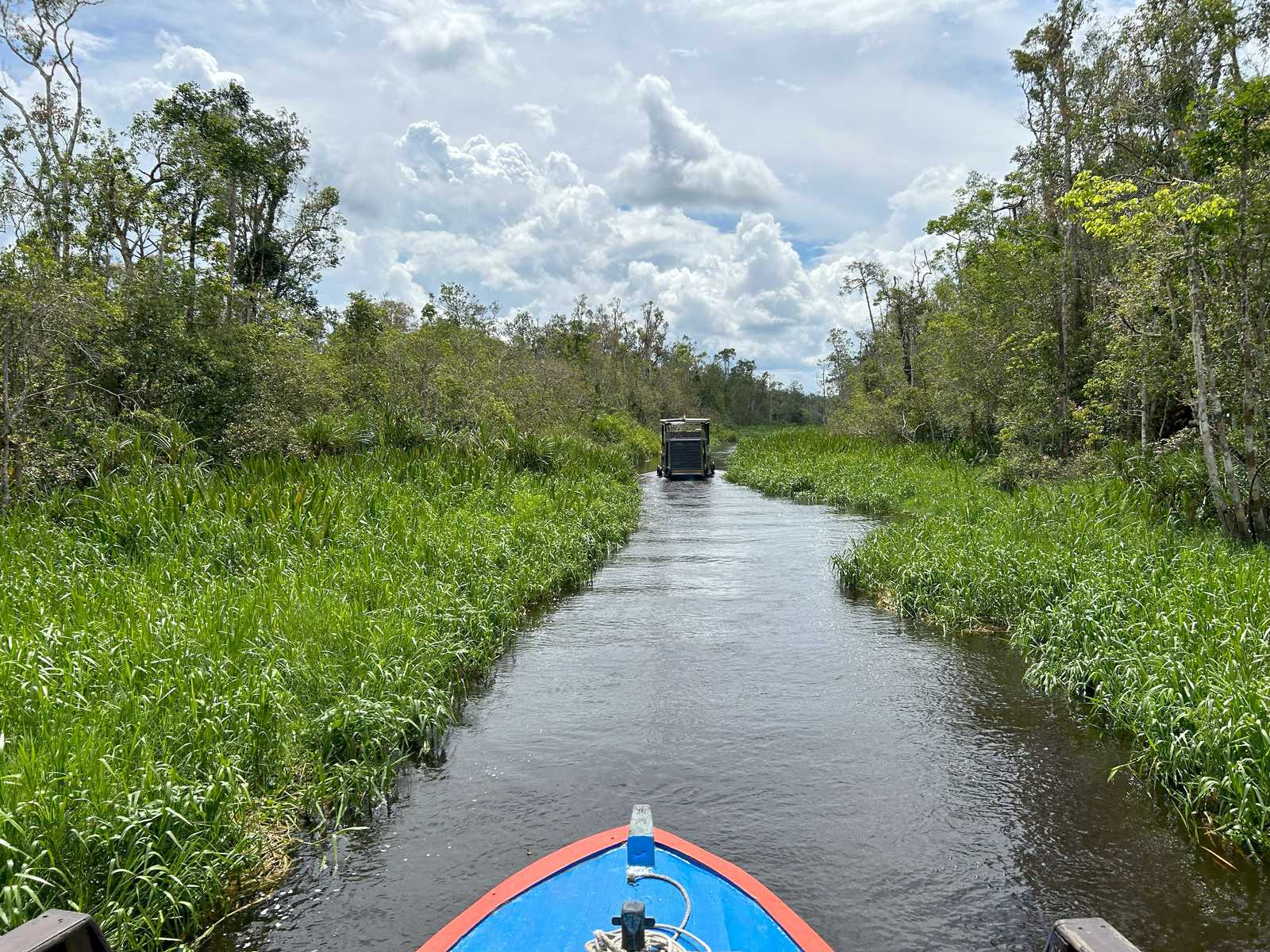Croisière en Klotok à Bornéo © Heriaud Adrien