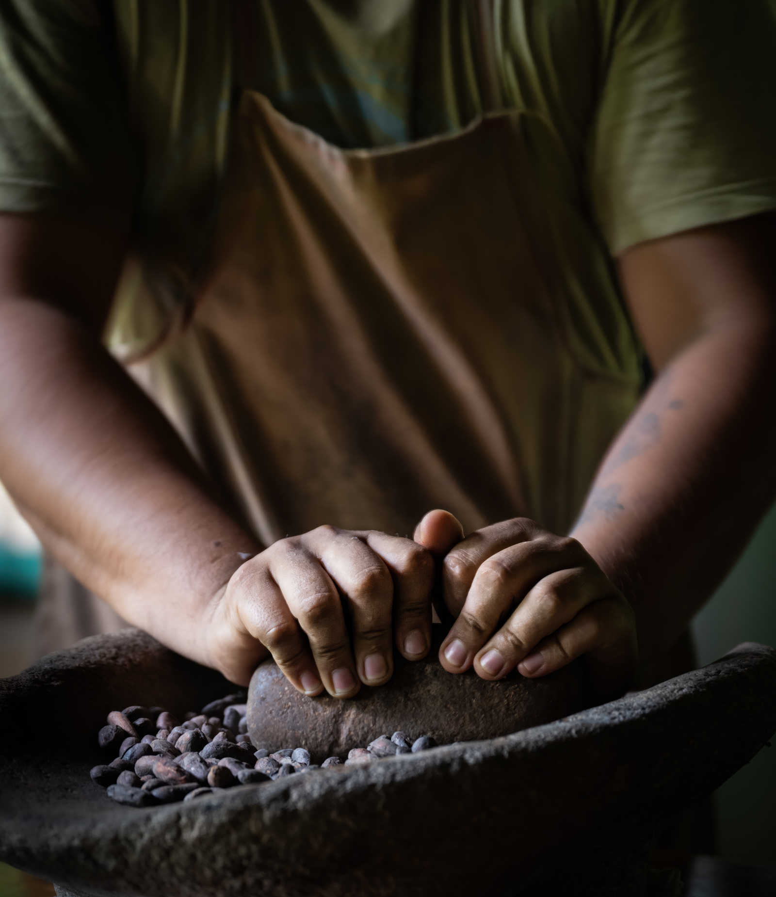 Culture du cacao au Costa Rica © Tanguy De Saint Cyr