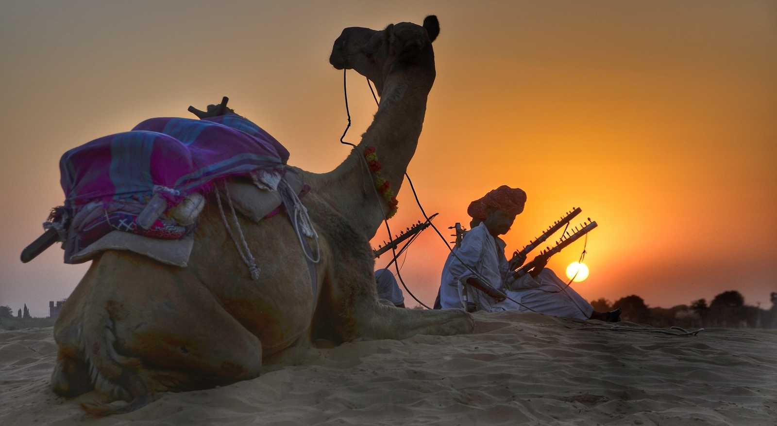 Dans le désert de Thar © pixabay