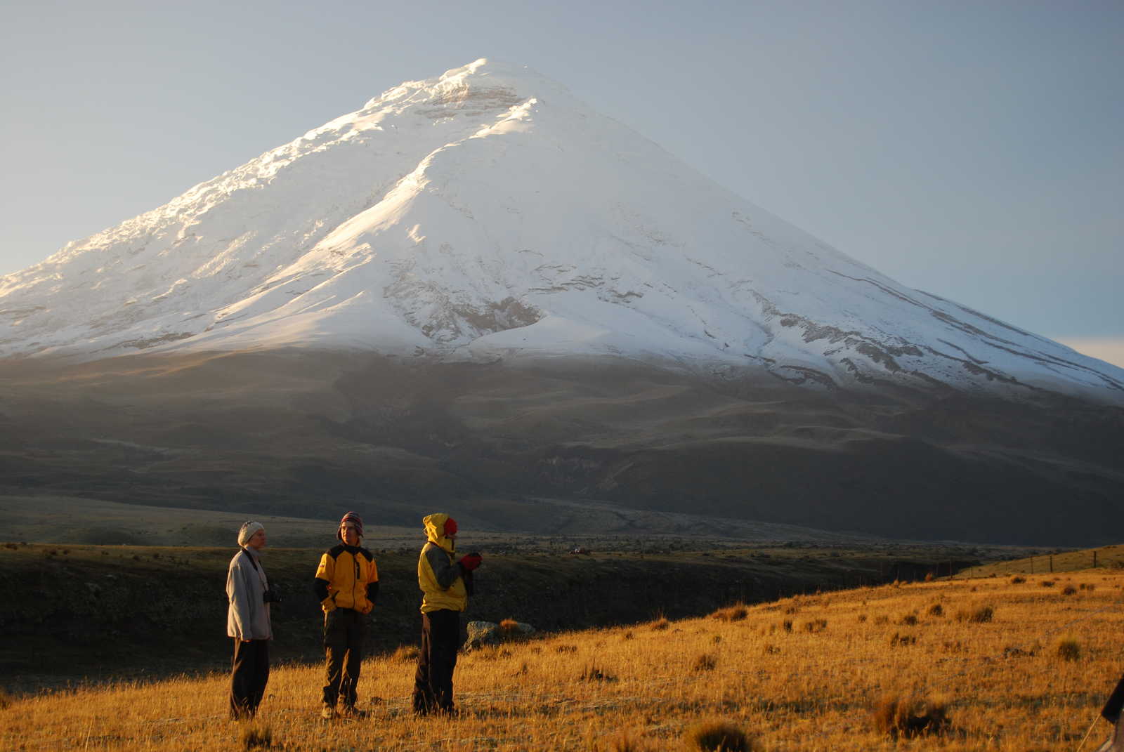 Dans le parc du Cotopaxi en Equateur © Feuillet Benjamin