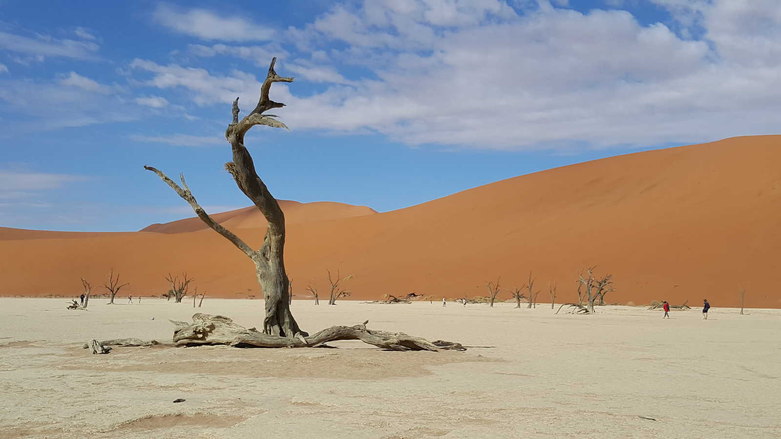 Image Désert du Namib, faune sauvage et peuple Himba
