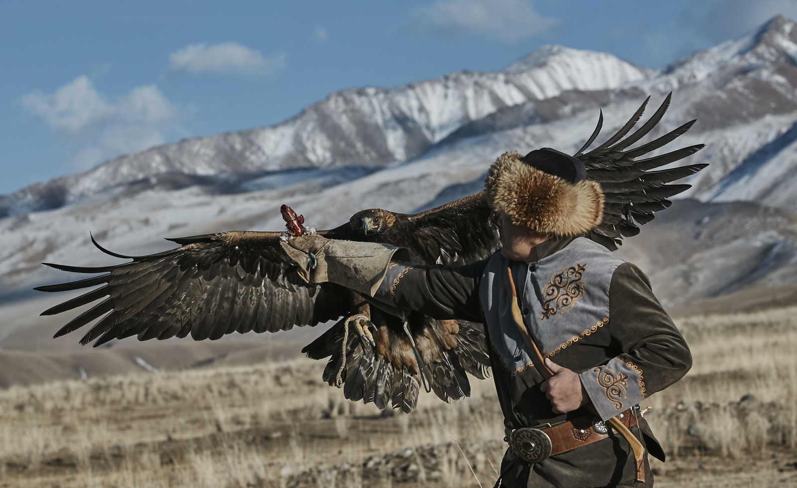 Démonstration de chasse à l'aigle © Aziz