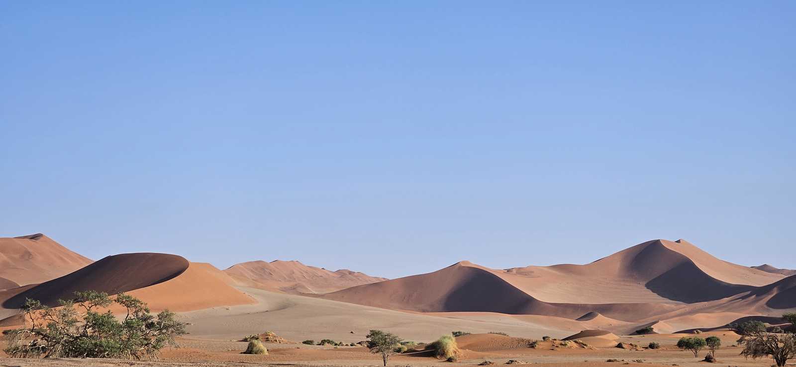 Désert du Namib en Namibie © Resta Lidia