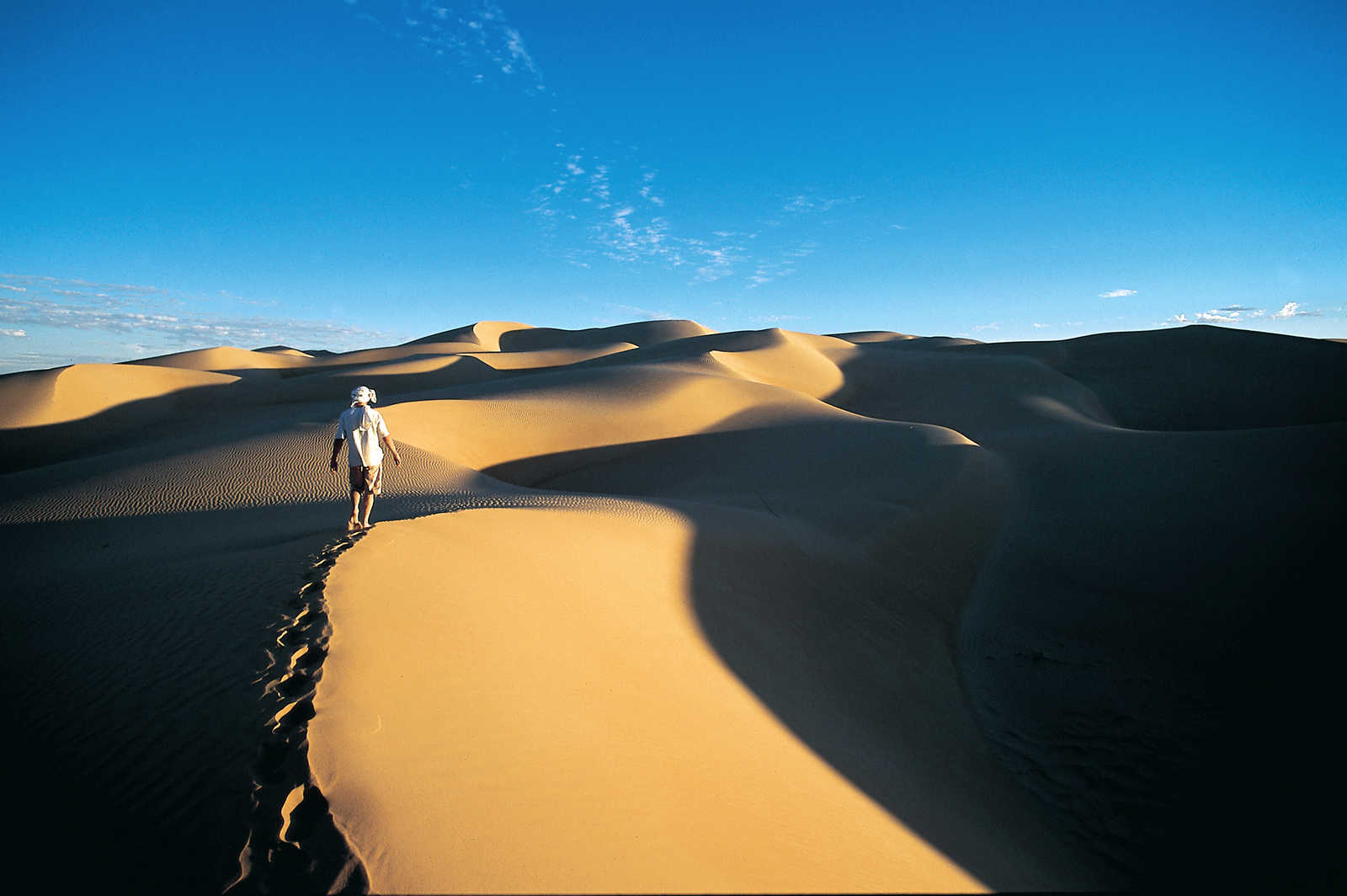 Image Citées caravanières, dunes et oasis de l'Adrar