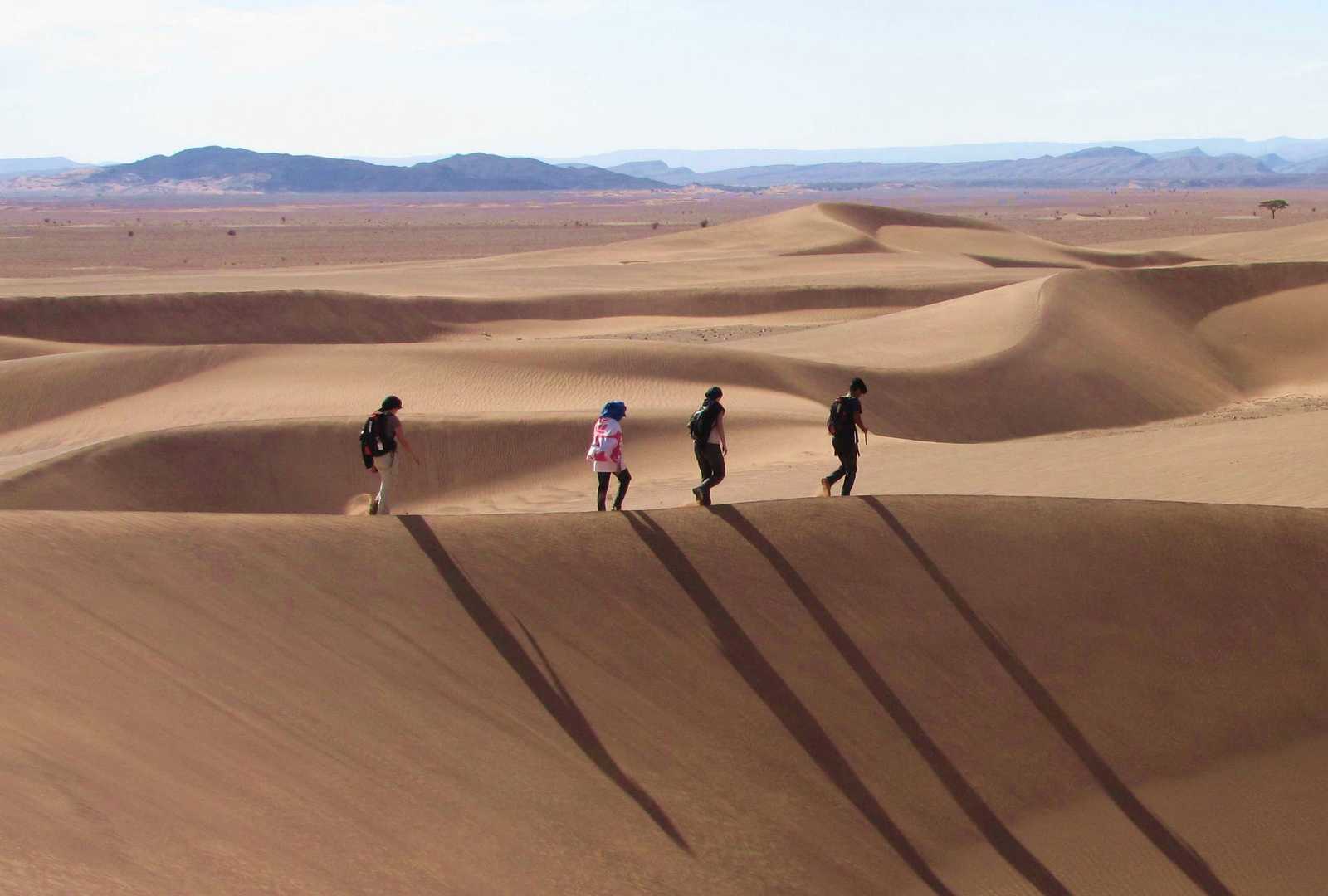 Dunes de Foum Tizza, Maroc © R. BUIRET