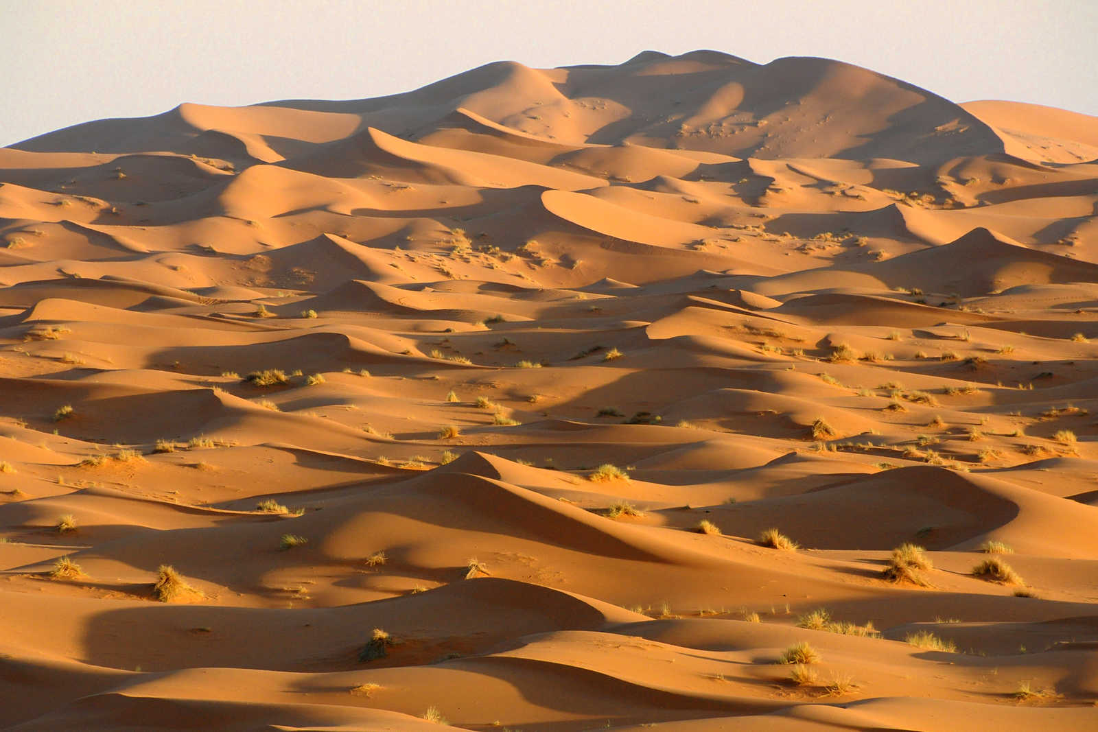 Image Merzouga, dunes orangées de l'Erg Chebbi
