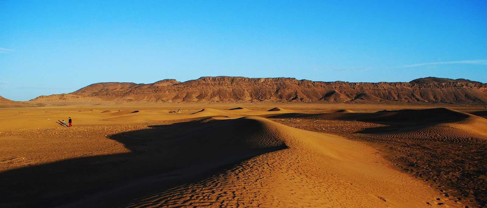 Image Immersion dans les grands ergs du Sahara marocain