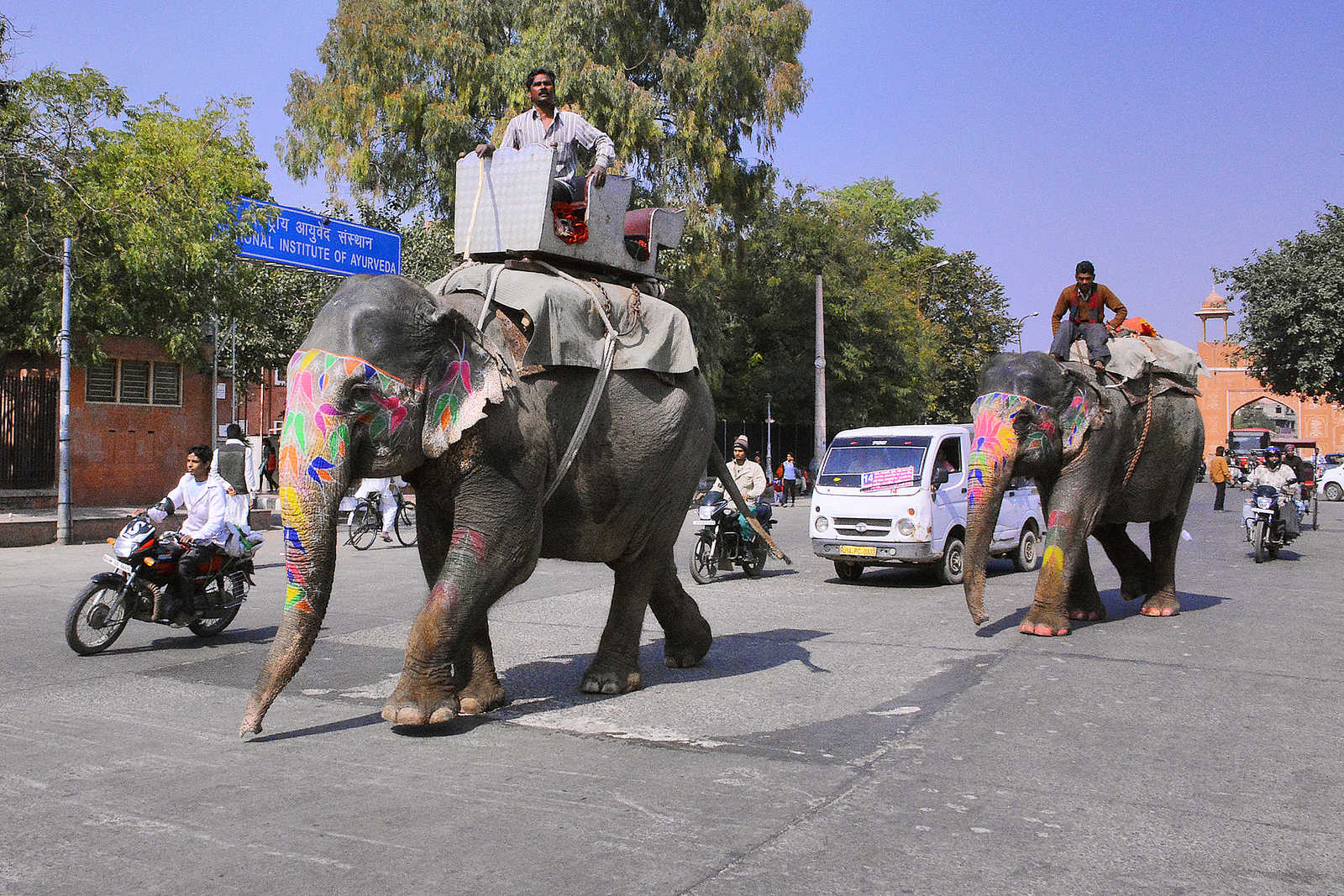 Elephant dans les rues de Jaipur au Rajasthan en Inde © Coston Jean-Pierre