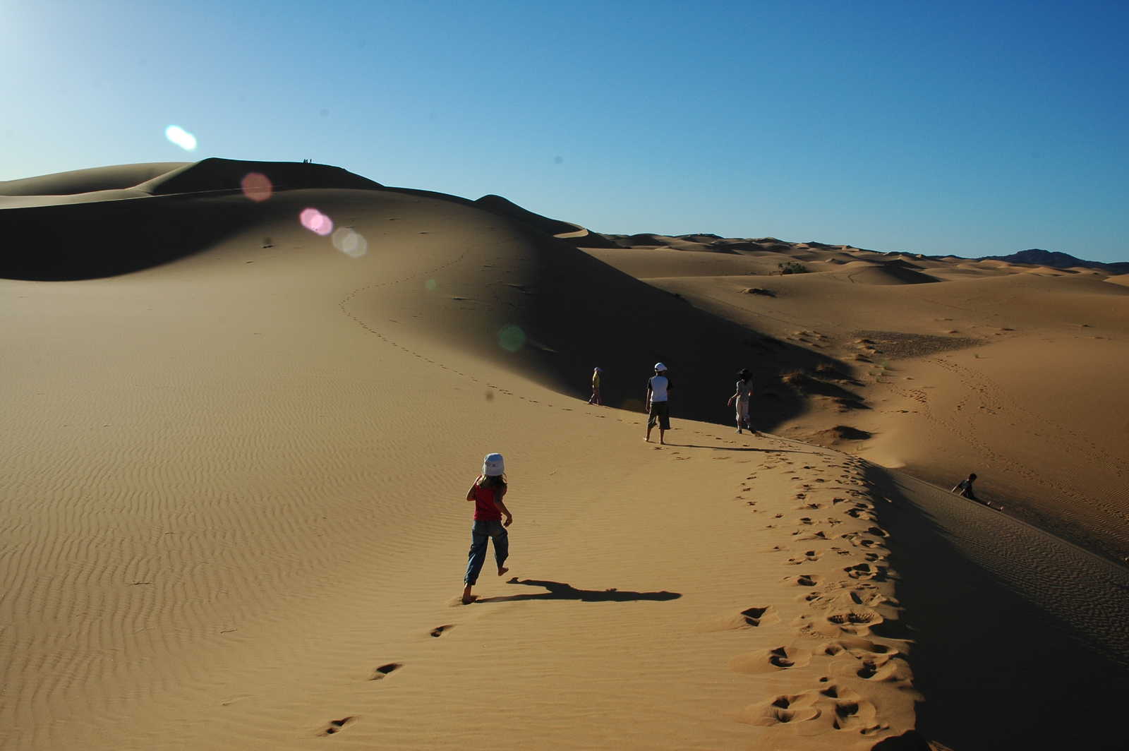 Image Aventures sahariennes, dromadaires, sable et palmeraies