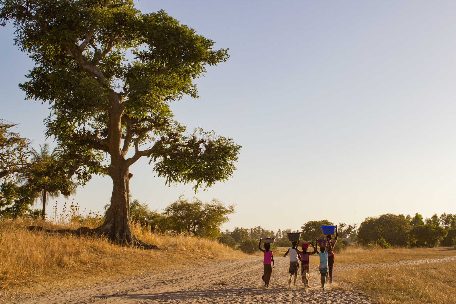 enfant qui courent dans la brousse senegalaise © Adobestock