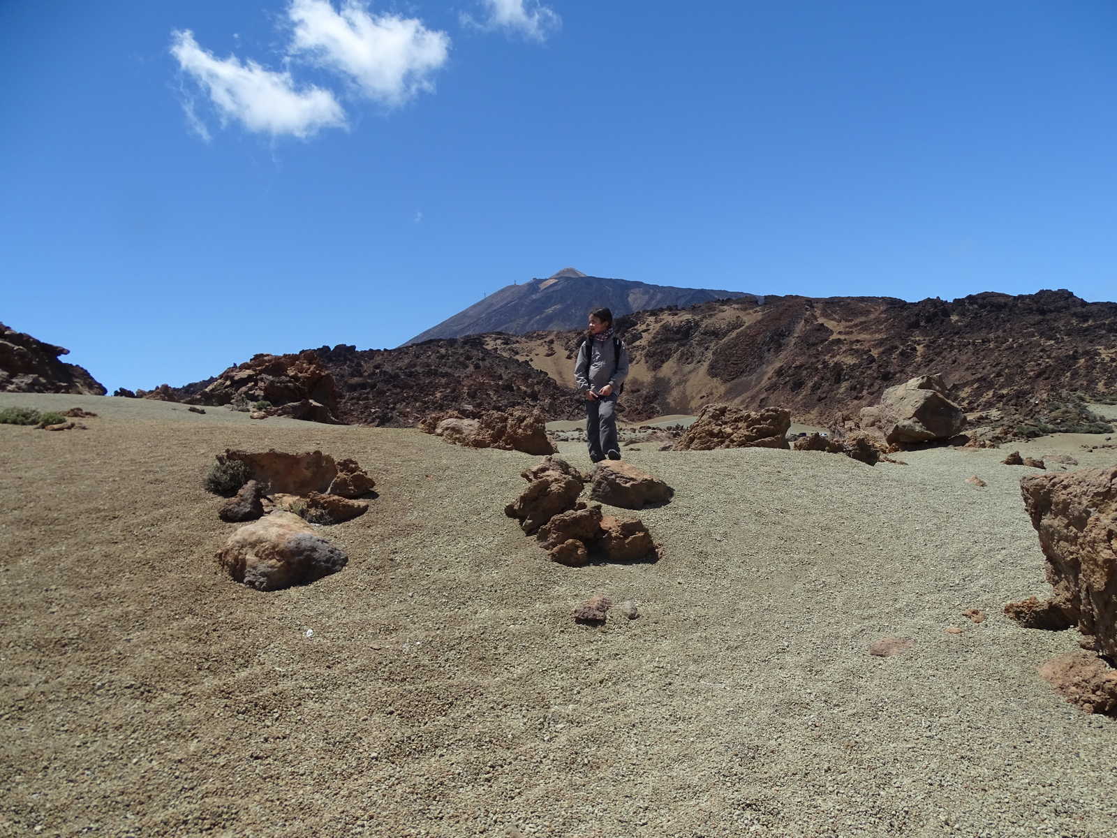 Image Découverte active de Tenerife à l'île Ronde !